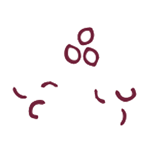 6
