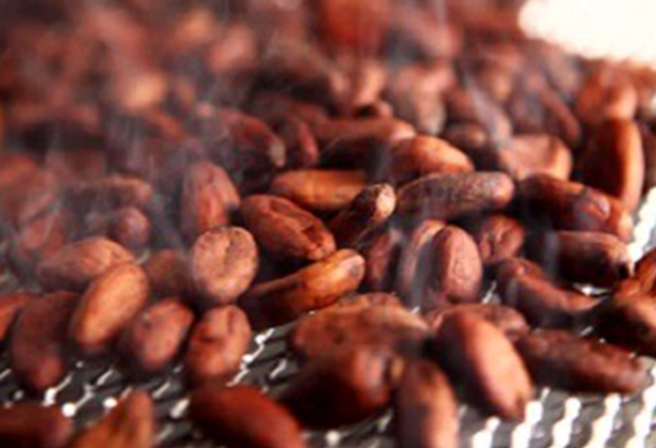 bean4